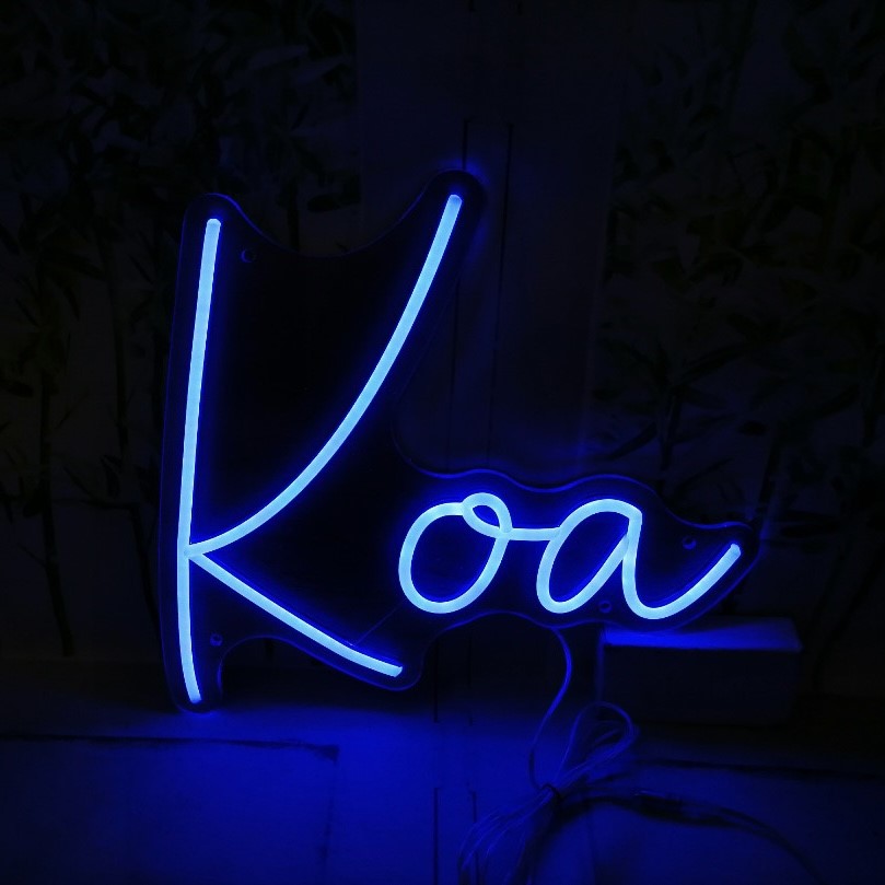 Dark blue store neon lights